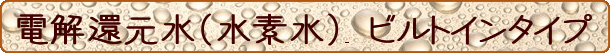 �d���Ҍ��� �r���g�C���^�C�v