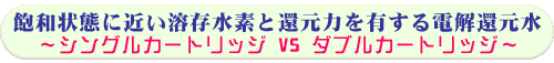 飽和状態に近い溶存水素と還元力を有する電解還元水〜シングルカートリッジVSダブルカートリッジ〜