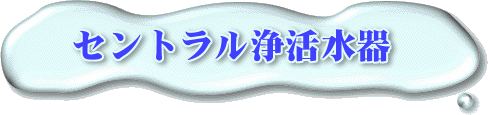������̃^�C�g��