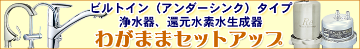 ビルトイン(アンダーシンク)タイプ 浄水器(浄水機)・還元水器 ワガママセットアップ